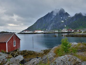 gurrun informasiya