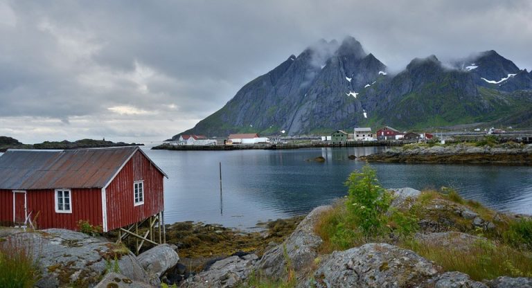 gurrun informasiya