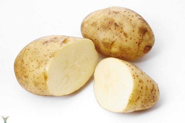 Doňduryja salynmaly däl 10 iýmit!