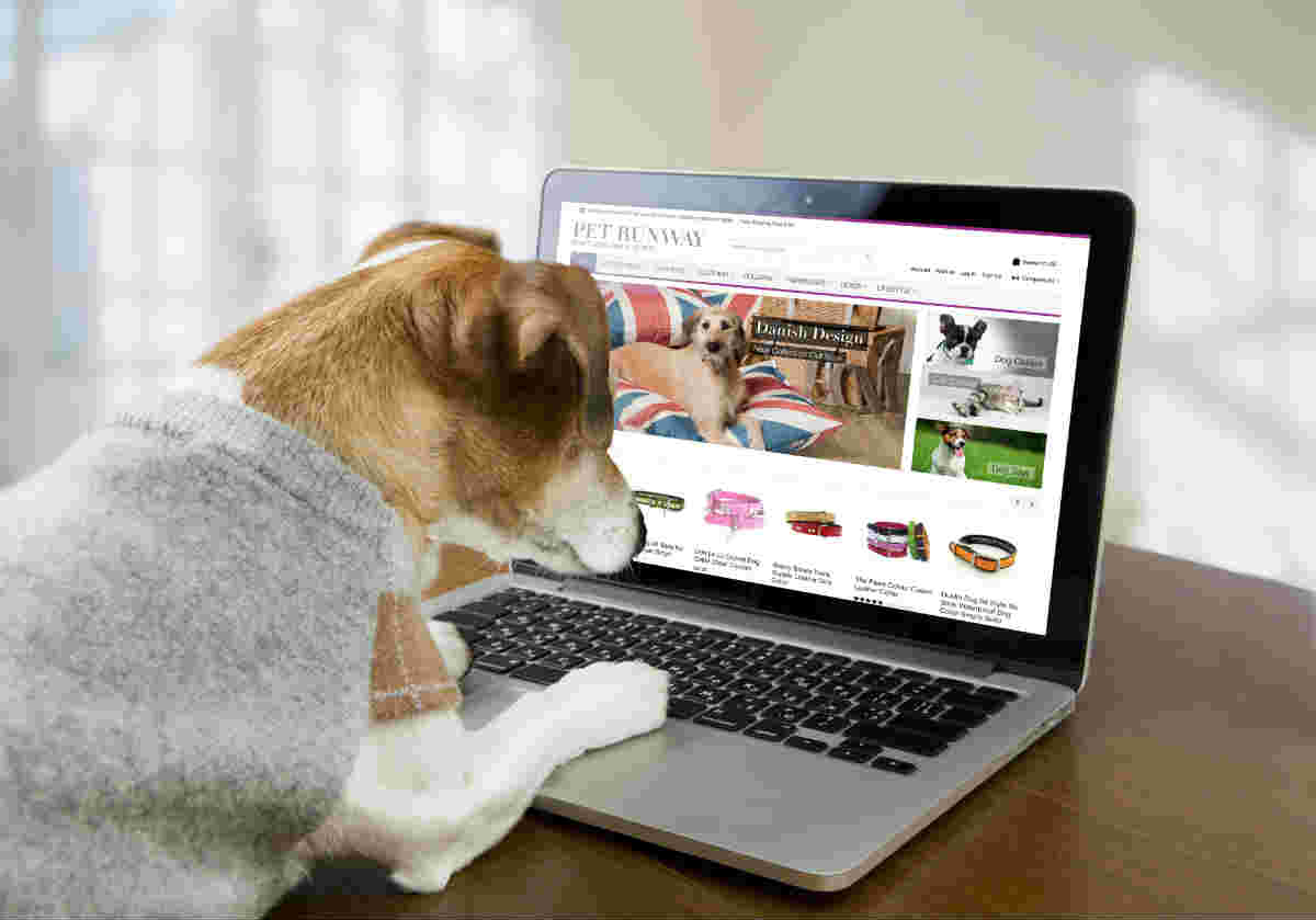 It almazdan öň göz tutulmaly zatlar