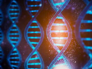 gurrun sizden gelenler