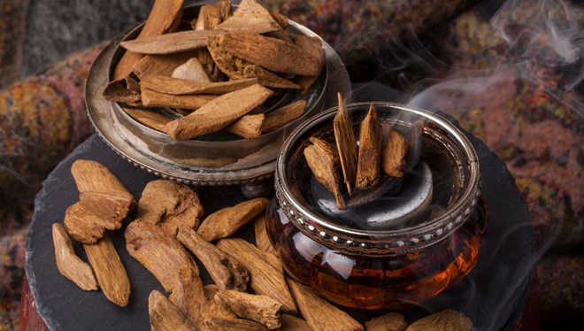 Tebigatda antibiýotik: Udi Hindi