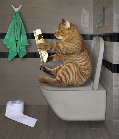 Hajathanada telefon ulanmak