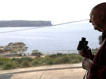 gurrun kämillige tarap