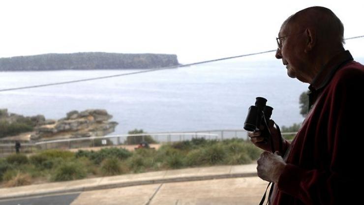 gurrun kämillige tarap