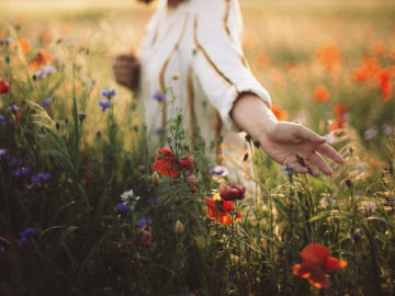 gurrun kämillige tarap