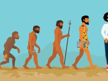 gurrun kämillige tarap