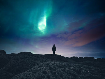 gurrun kämillige tarap