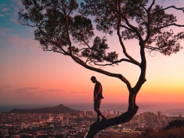 gurrun kämillige tarap