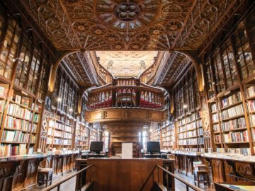 gurrun kämillige tarap