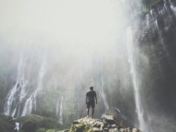 gurrun kämillige tarap