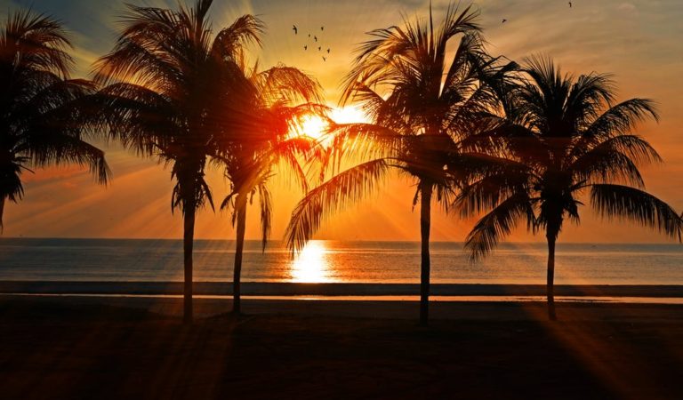 Ýeke galan aýdaňdan halas bolmak üçin sende ýeterli maglumat barmy? Dowamy